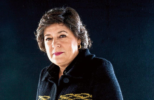 Apoio à candidatura presidencial de Ana Gomes